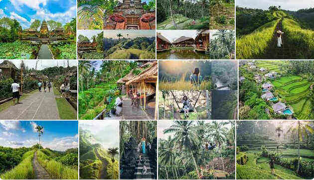 tempat wisata di ubud bali terbaru